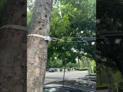 گیره لنگر کابل انتهایی معلق فیبر نوری FTTH برای کابل ADSS 8-12 میلی متر