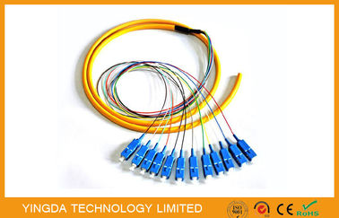 خرید صنعت 12 هسته SC فیبر نوری پاکسازی برنزه، FTTH SM LSZH SC فیبر کریگتون فیبر G652D تولید آنلاین
