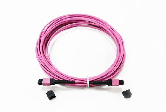 خرید 12 سیم اتصال زن فیبر MPO OM4 50/125um Elite Loss 0.35dB Purple Polarity A تولید آنلاین